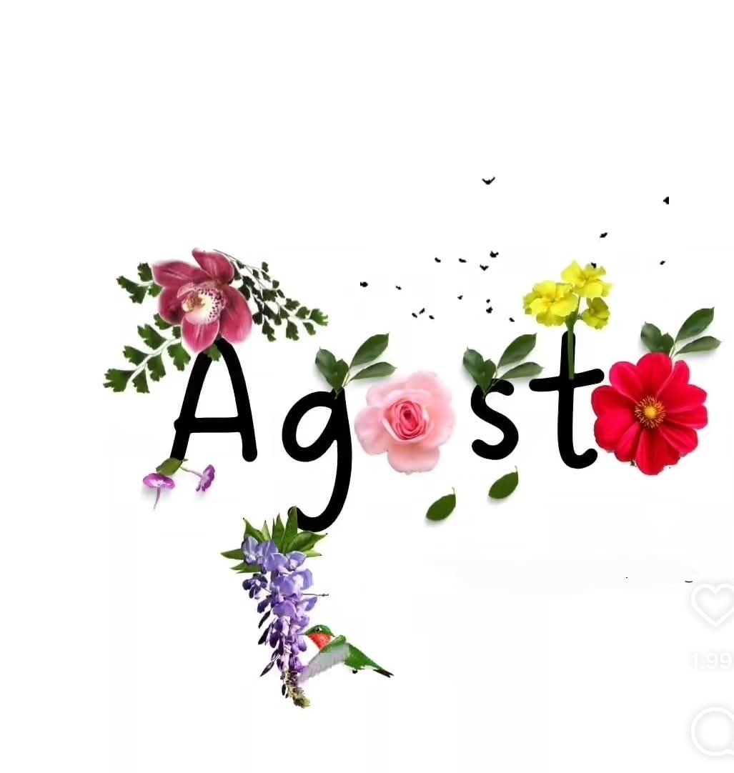 Buenos días
Bienvenido Agosto...