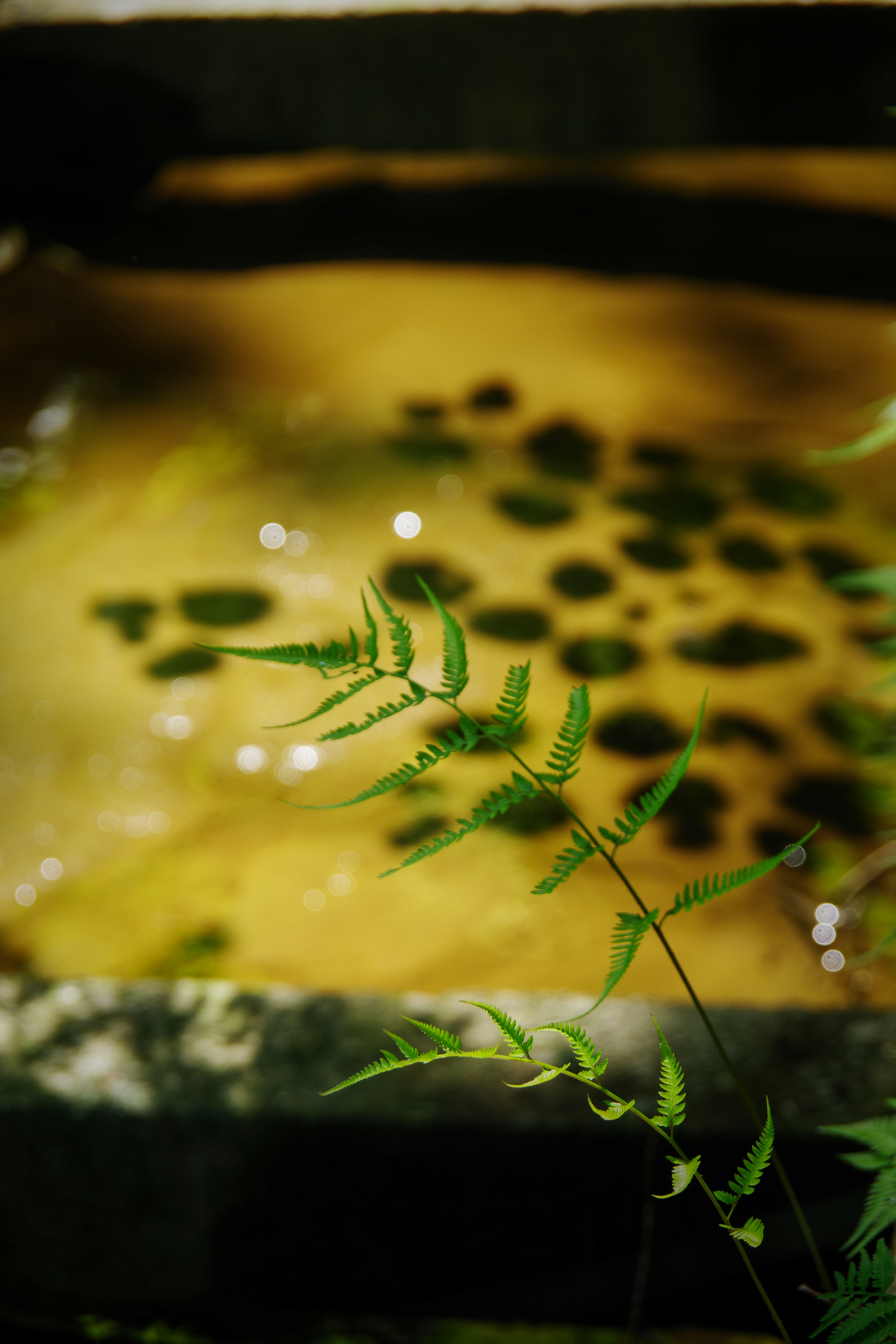 moimoi@SF (@singularityfree) / X