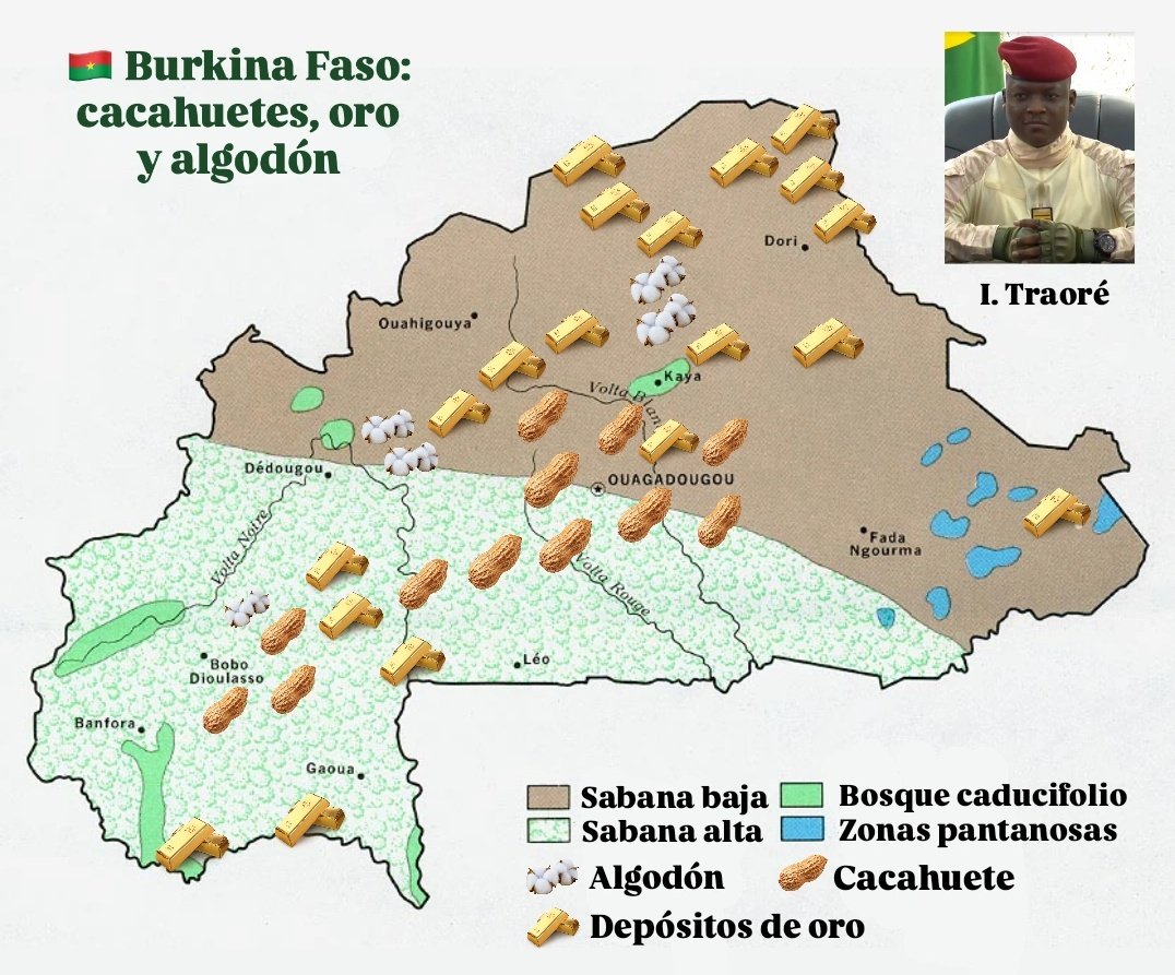 🇧🇫 Uno de los países de moda en la actualidad es #BurkinaFaso.

🪖 Su presidente, Ibrahim Traoré, está transformando el país por completo.

💥 Aquí os dejo un mapa que explica la distribución de su tríada de recursos: cachuetes, oro y algodón.

Abajo os explico los recursos 👇🏼