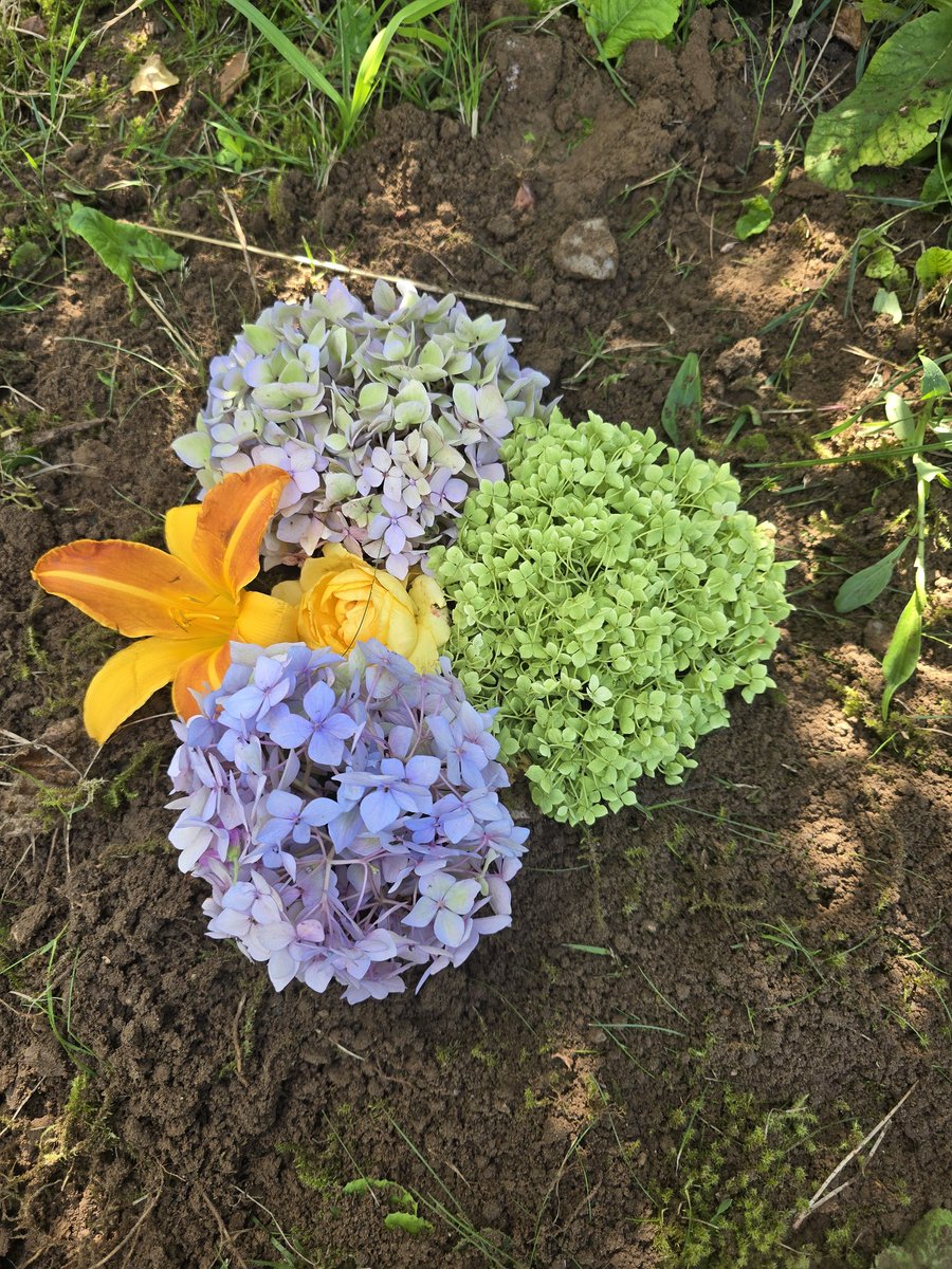 Jack 🌈 & Joe🌈 tweet media