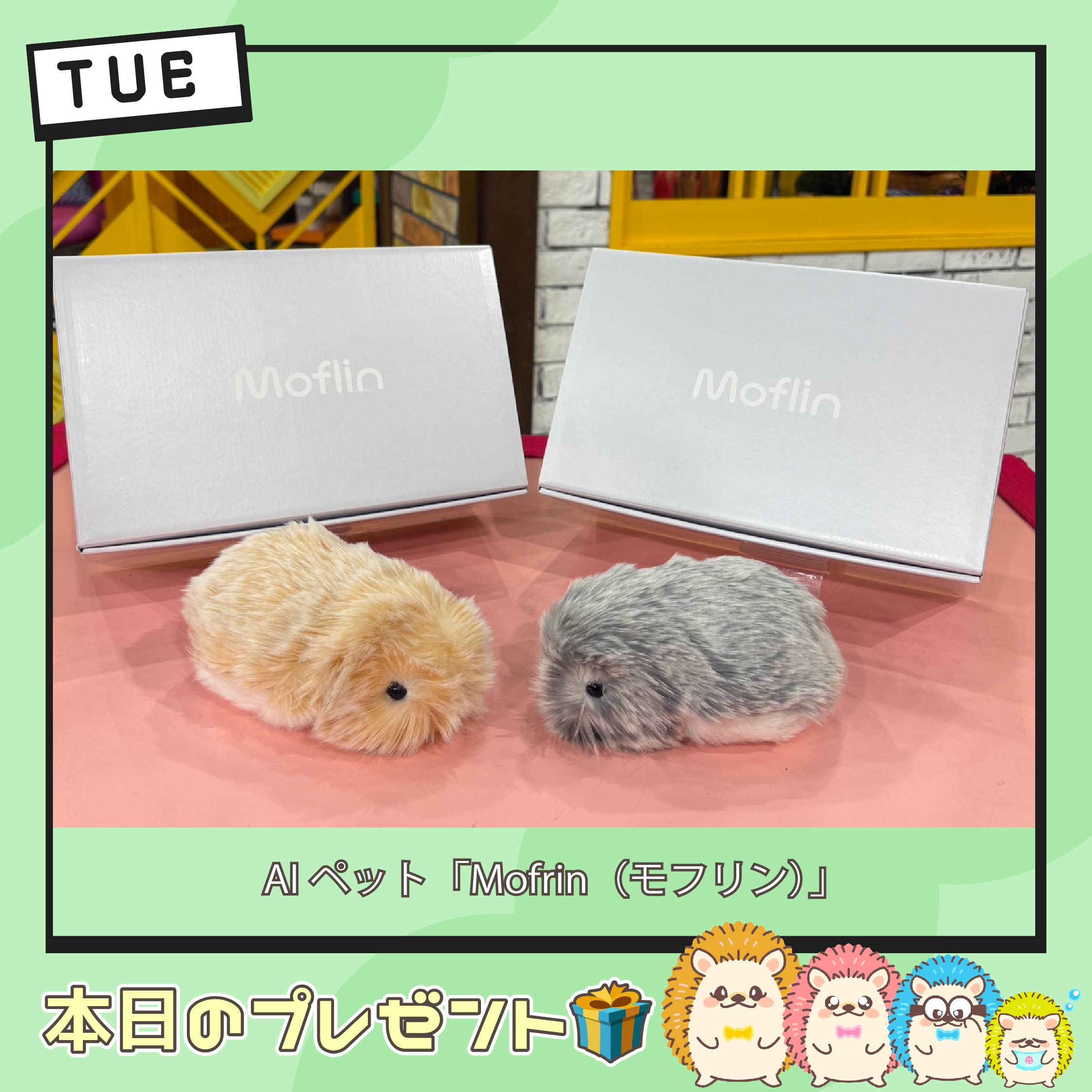 【美品】Moflin モフリン クラファン限定品 Moflin (モフリン) - 公式ストア | CASIO