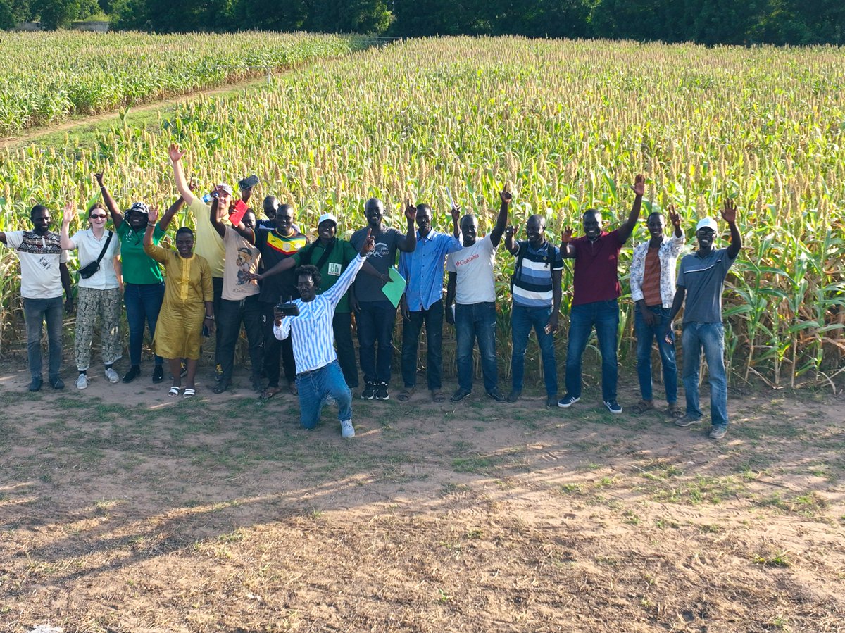 In the heart of ISRA sorghum fields, our diverse team of researchers, technicians, and partners stands united.
We’re advancing digital agriculture with real impact:UAV-based data collection; AI-powered phenotyping. Strong collaboration across institutions #DigitalAgriculture