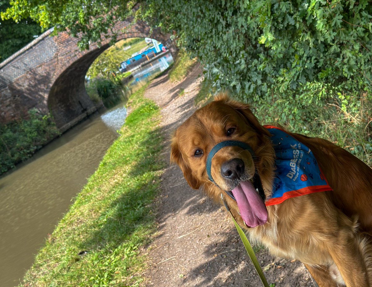 Finlay - Red Moonshine (@finredmoonshine) on Twitter photo It's now 1 month into the #1mStepsChallenge for <a href="/DiabetesUK/">Diabetes UK</a> and Finlay #RedMoonshine has reached 380,000 that's around 47,000 more than our target, only 620,000 left! 1msteps.uk #BoatsThatTweet #KeepCanalsAlive #LifesBetterByWater #FundBritainsWaterways #DiabetesUK It's now 1 month into the #1mStepsChallenge for <a href="/DiabetesUK/">Diabetes UK</a> and Finlay #RedMoonshine has reached 380,000 that's around 47,000 more than our target, only 620,000 left! 1msteps.uk #BoatsThatTweet #KeepCanalsAlive #LifesBetterByWater #FundBritainsWaterways #DiabetesUK