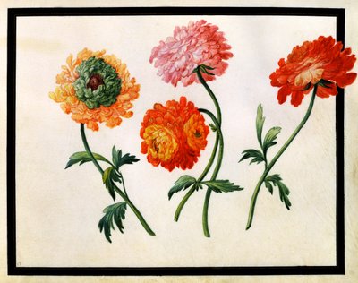 Bu platformda, anonim olabilmenin verdiği yüzsüz cesaretle bazı insanlar ruhlarında bütün iğrençlikleri ortalığa saçabiliyor. Sık bakınca algılarınız bozuluyor, bütün insanlık böyle berbat, böyle kötü zannediyor, insanlıktan soğuyorsunuz. Olabildiğince seyrek giriyorum o yüzden