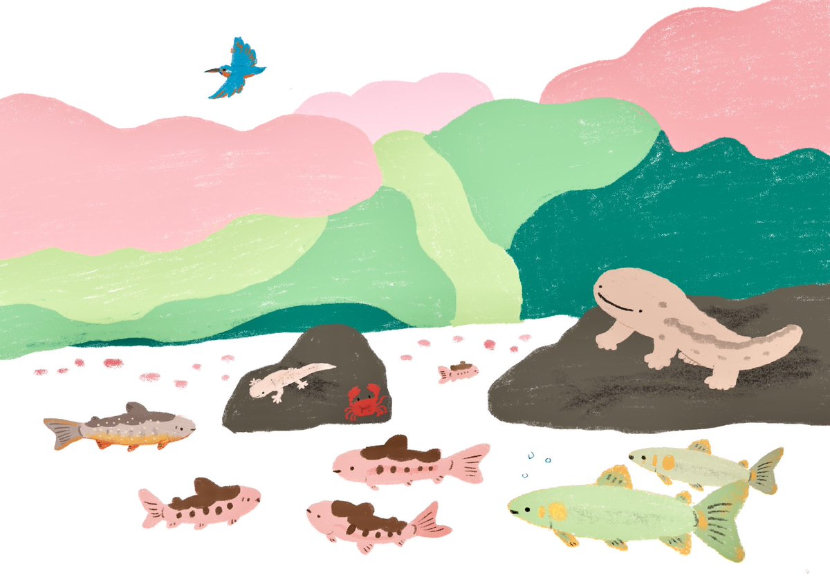 #お魚のイラストだけで興味を持ってくれる方へ届け
🐟⛰️サケと渓流魚がすき