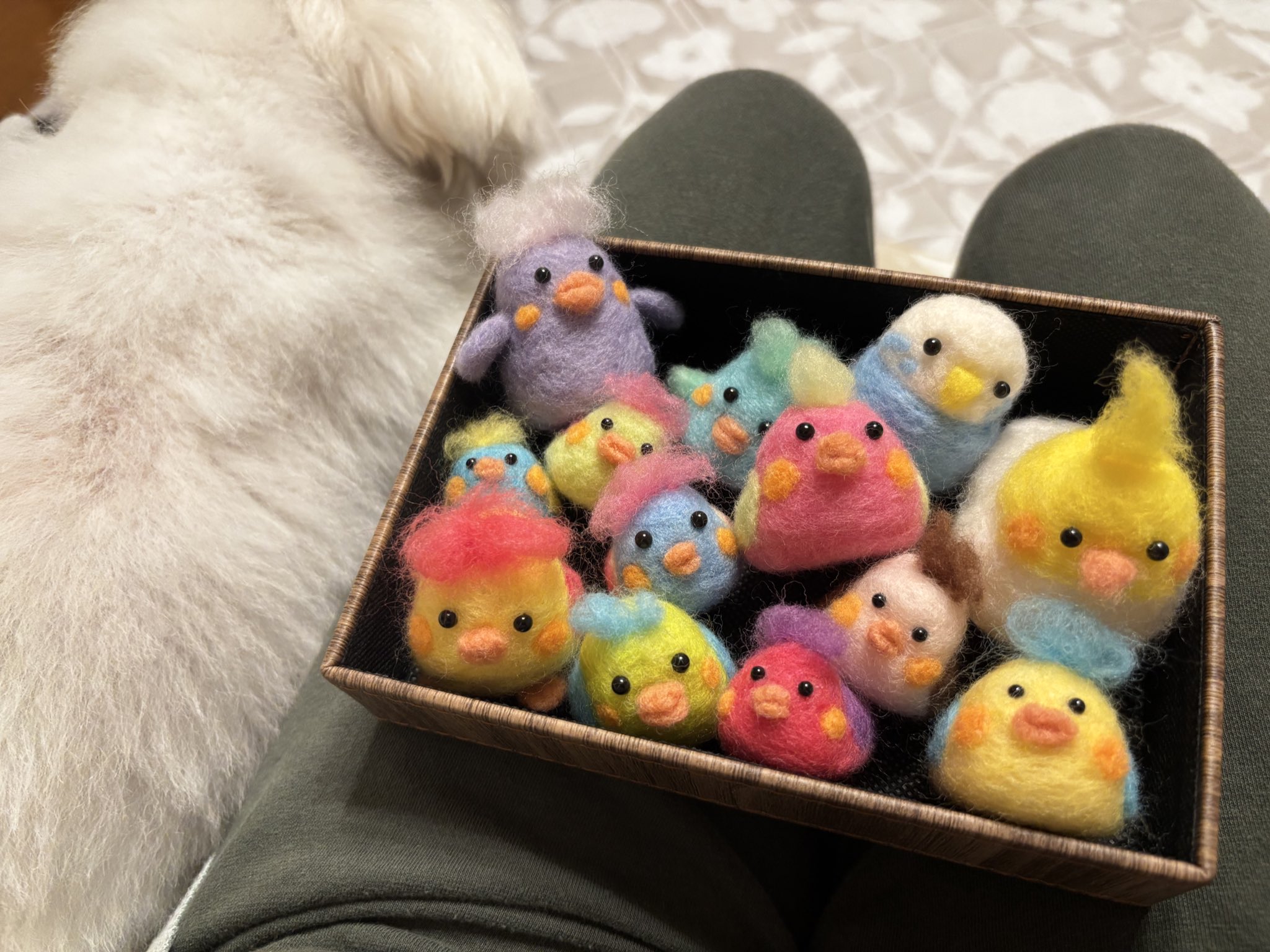 ぴよりんこ🐣 on X: 