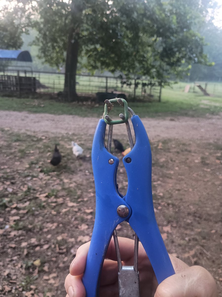 if this tool was used universally, it would solve a lot of problems.