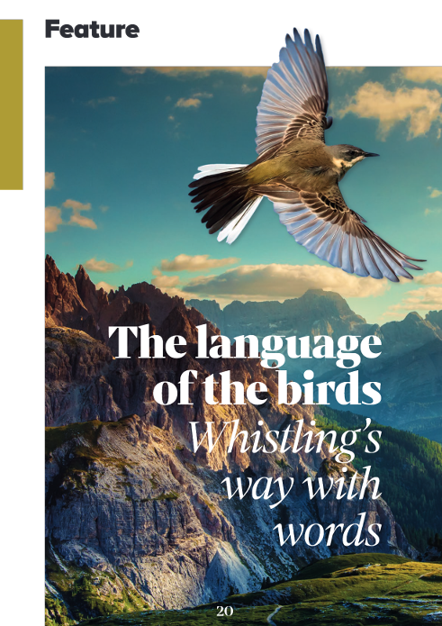 Babel: The Language Magazine tweet media