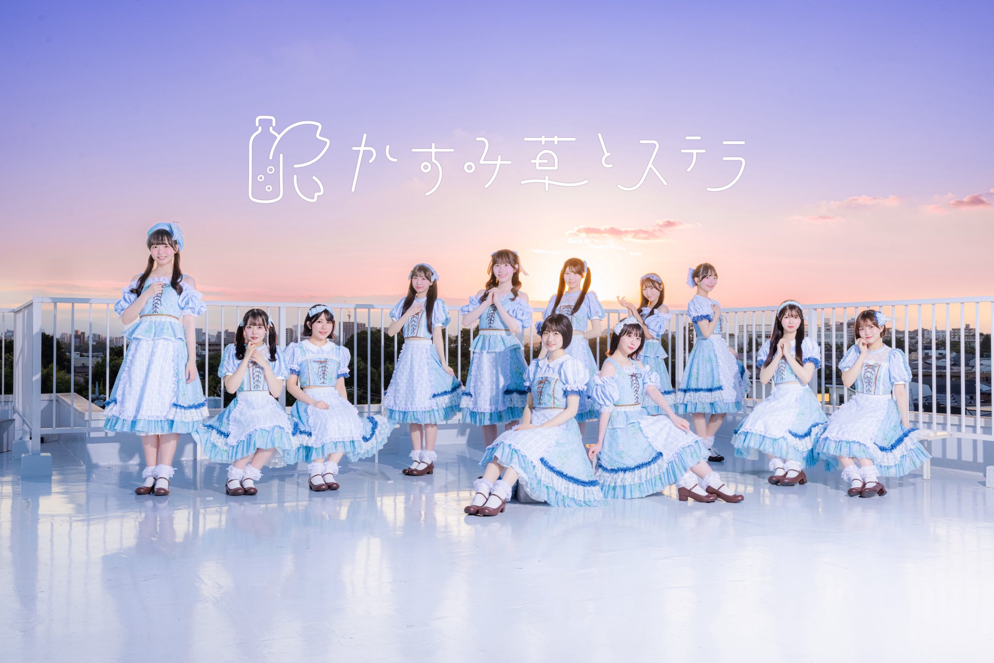 かすみ草 様♡ comet* White かすみ草 ドライフラワー - メルカリ