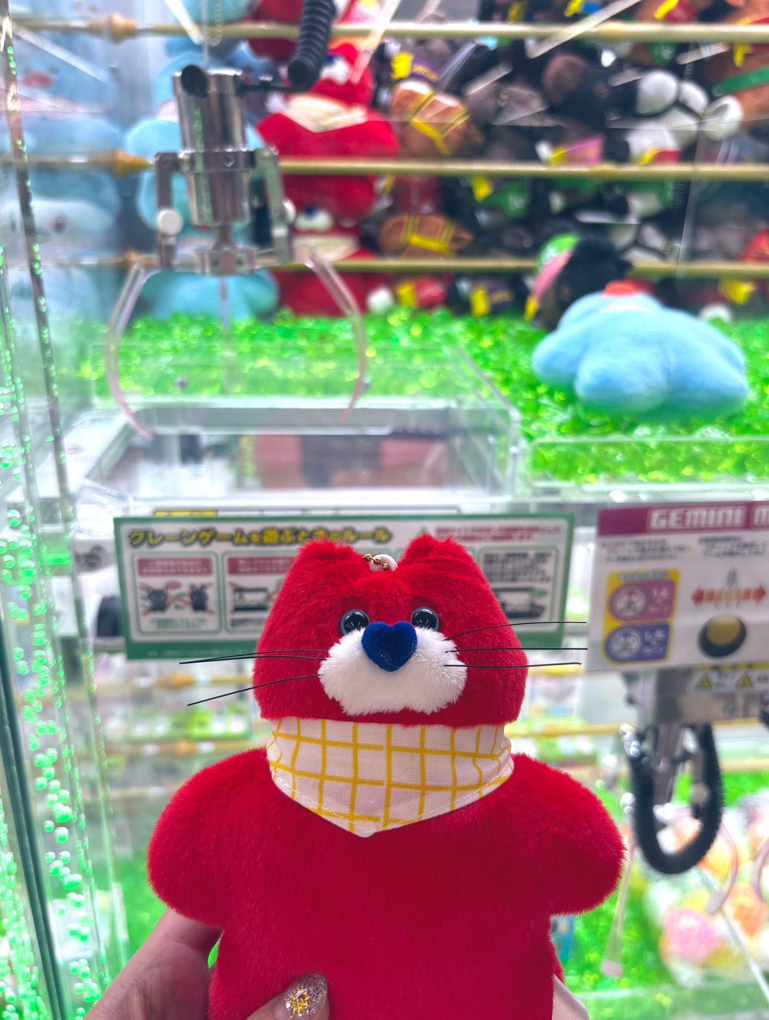 ➿らんぜ➿ on X: 