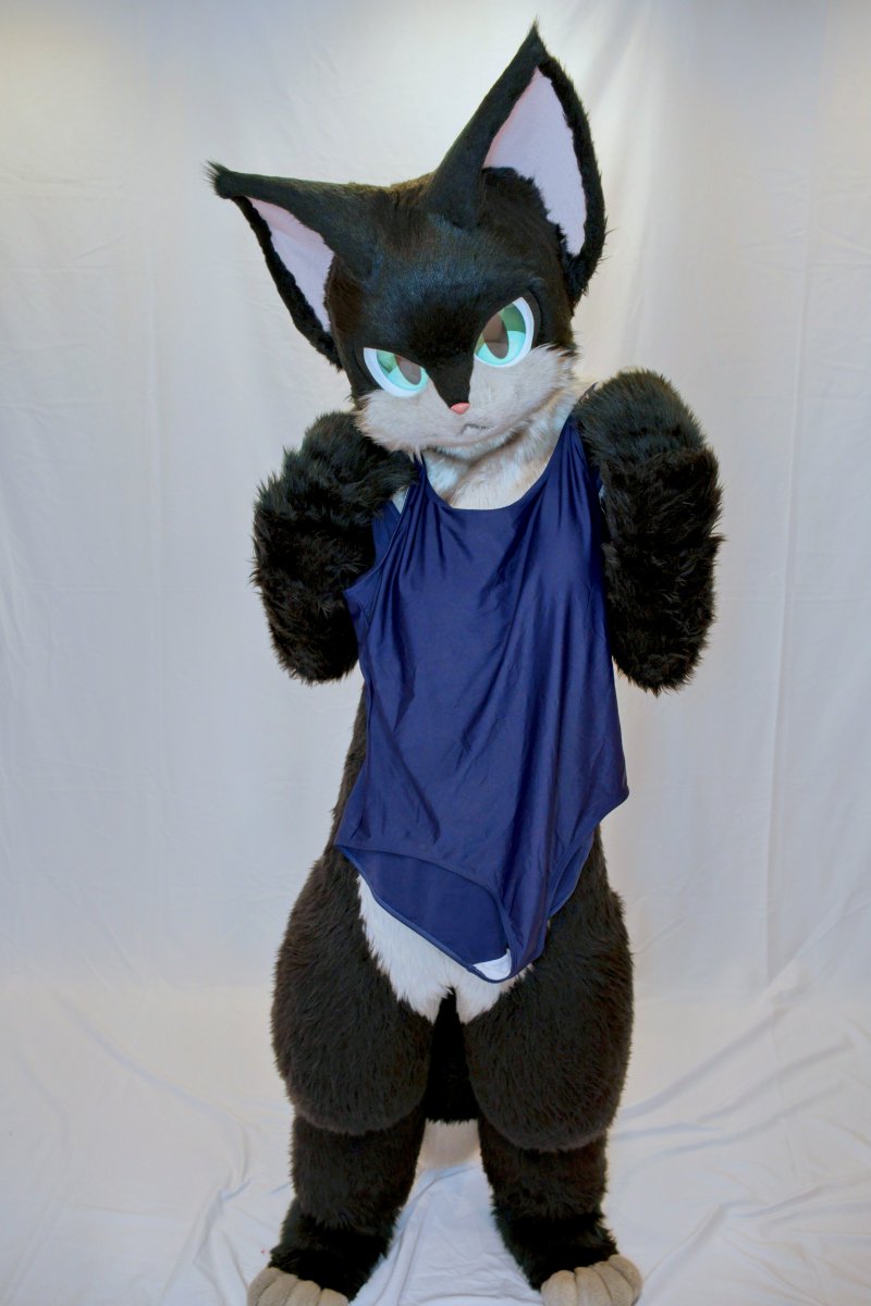 リゲルくん…それ着てみたいの…？？💦💦
#FursuitFriday