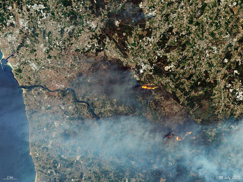 ESA France (@esa_fr) on Twitter photo Le Portugal est touché depuis le 27 juillet par des feux de forêt. Le service de gestion des urgences <a href="/CopernicusEMS/">Copernicus EMS</a> a été activé pour cartographier l’étendue des feux et renforcer la surveillance.
Cette image <a href="/CopernicusEU/">Copernicus EU</a> #Sentinel2 du 30 juillet montre une partie des zones Le Portugal est touché depuis le 27 juillet par des feux de forêt. Le service de gestion des urgences <a href="/CopernicusEMS/">Copernicus EMS</a> a été activé pour cartographier l’étendue des feux et renforcer la surveillance.
Cette image <a href="/CopernicusEU/">Copernicus EU</a> #Sentinel2 du 30 juillet montre une partie des zones