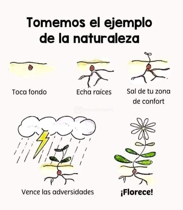 Namasté Paz. tweet media