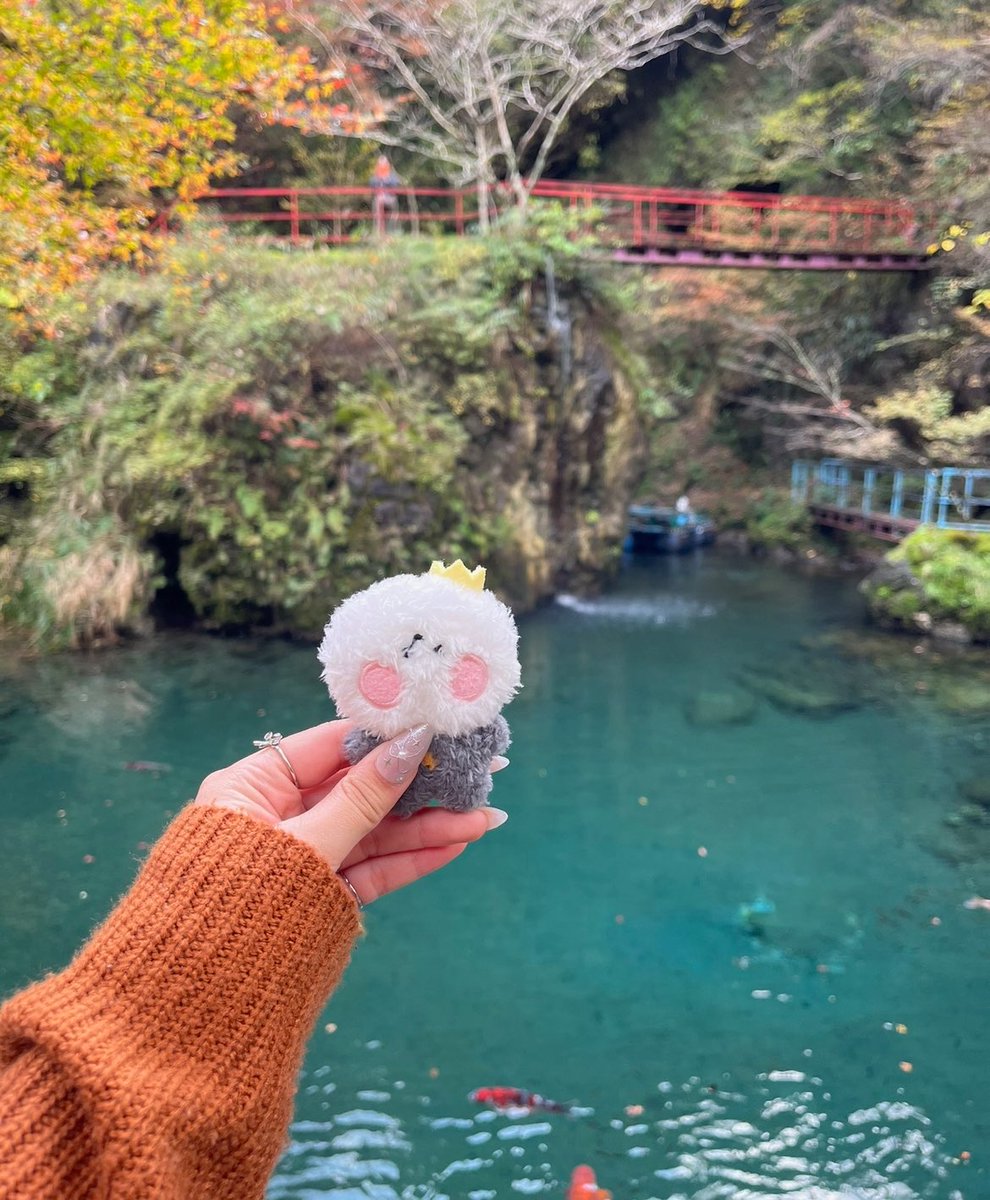 自然好きなトゥメちゃんいるのかな〜??𓂃🌿𓈒𓏸