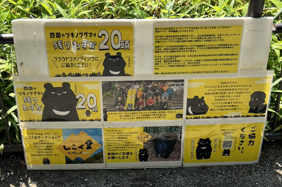 クマ猫と廃墟 maxresdefault.jpg