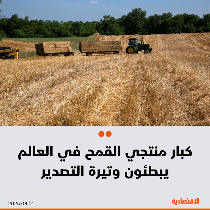 استهل كبار مصدّري القمح حول العالم، الموسم الجديد بوتيرة بطيئة، بعد أن تسبب سوء الأحوال الجوية وتخزين المزارعين لمحاصيلهم في كبح الكميات المتاحة للتصدير، بحسب "بلومبرغ" - من المتوقع أن تنخفض الشحنات الروسية خلال يوليو 30% مقارنة بالعام الماضي - تراجعت صادرات أوكرانيا إلى نحو ثلث الوتيرة المسجلة في 2024، كما انخفضت شحنات الاتحاد الأوروبي أيضا. 