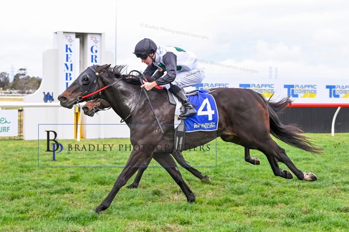 mitchellbeer (@beermitchell) on Twitter photo Terrific start to the new season for the team with a double <a href="/kemblaraces/">Kembla Grange Races</a>
The kids at home doing such an incredible job at the moment
12 from last 50 πͺπͺ Terrific start to the new season for the team with a double <a href="/kemblaraces/">Kembla Grange Races</a>
The kids at home doing such an incredible job at the moment
12 from last 50 πͺπͺ