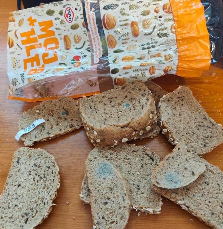 Čik pogodi šta imam za večeru! Buđav lebac...

Slikano pre par dana, dok je bio u roku‼️