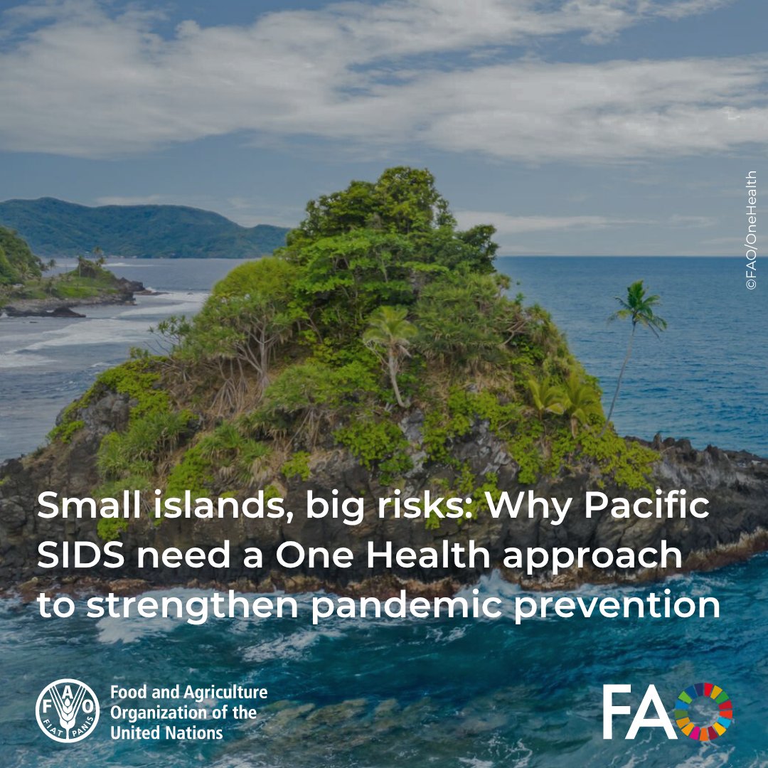 FAO Pacific (@faopacific) on Twitter photo .<a href="/FAO/">Food and Agriculture Organization</a> has always been a reliable partner for the Governments to mainstream #OneHealth approach.
This new support from <a href="/Pandemic_Fund/">The Pandemic Fund</a> will boost our efforts towards more resilient #PacificIslands.
Read the story from Samoa 🇼🇸: buff.ly/7FDRTpT .<a href="/FAO/">Food and Agriculture Organization</a> has always been a reliable partner for the Governments to mainstream #OneHealth approach.
This new support from <a href="/Pandemic_Fund/">The Pandemic Fund</a> will boost our efforts towards more resilient #PacificIslands.
Read the story from Samoa 🇼🇸: buff.ly/7FDRTpT