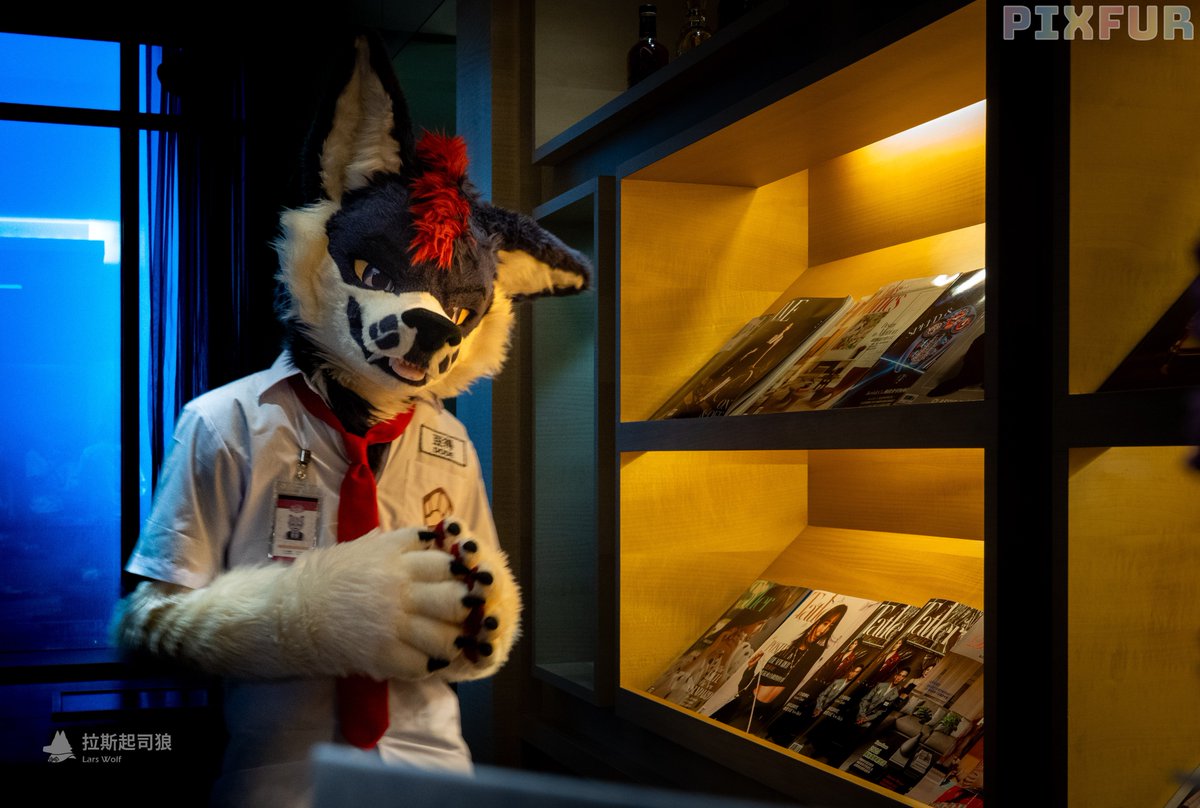 Looking for something in particular?

📸: <a href="/LarsHagrid/">LarsHagrid🐺 🔜 Infurnity</a> 
#FursuitFriday