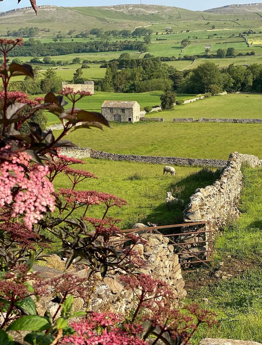 North Yorkshire tweet media