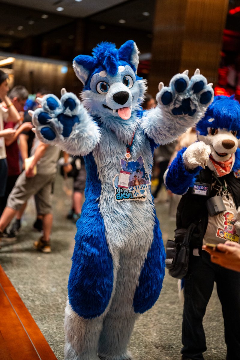 Come and give me a hug!

📸 <a href="/loynuwu/">Loyn</a>
🪡 <a href="/wolf_daz/">Daza 🔮 GOH BKB</a> 

#UTFG2025 #FursuitsFriday