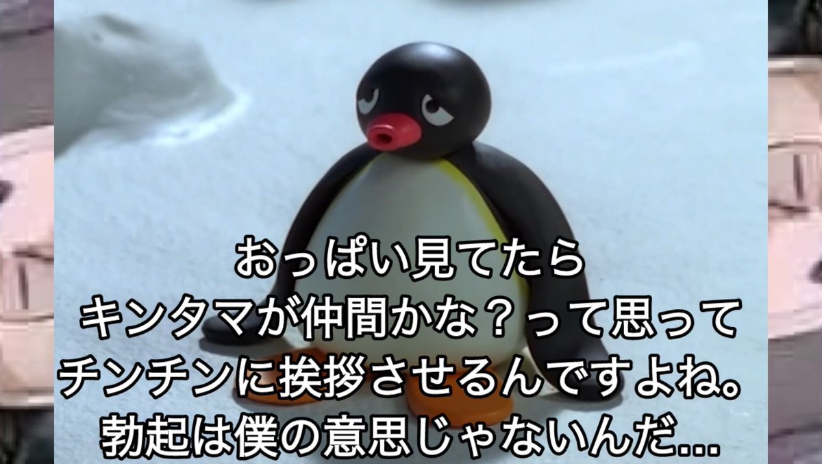 ブルーアーカイブピングーbot (@pingu_archive) on Twitter photo 