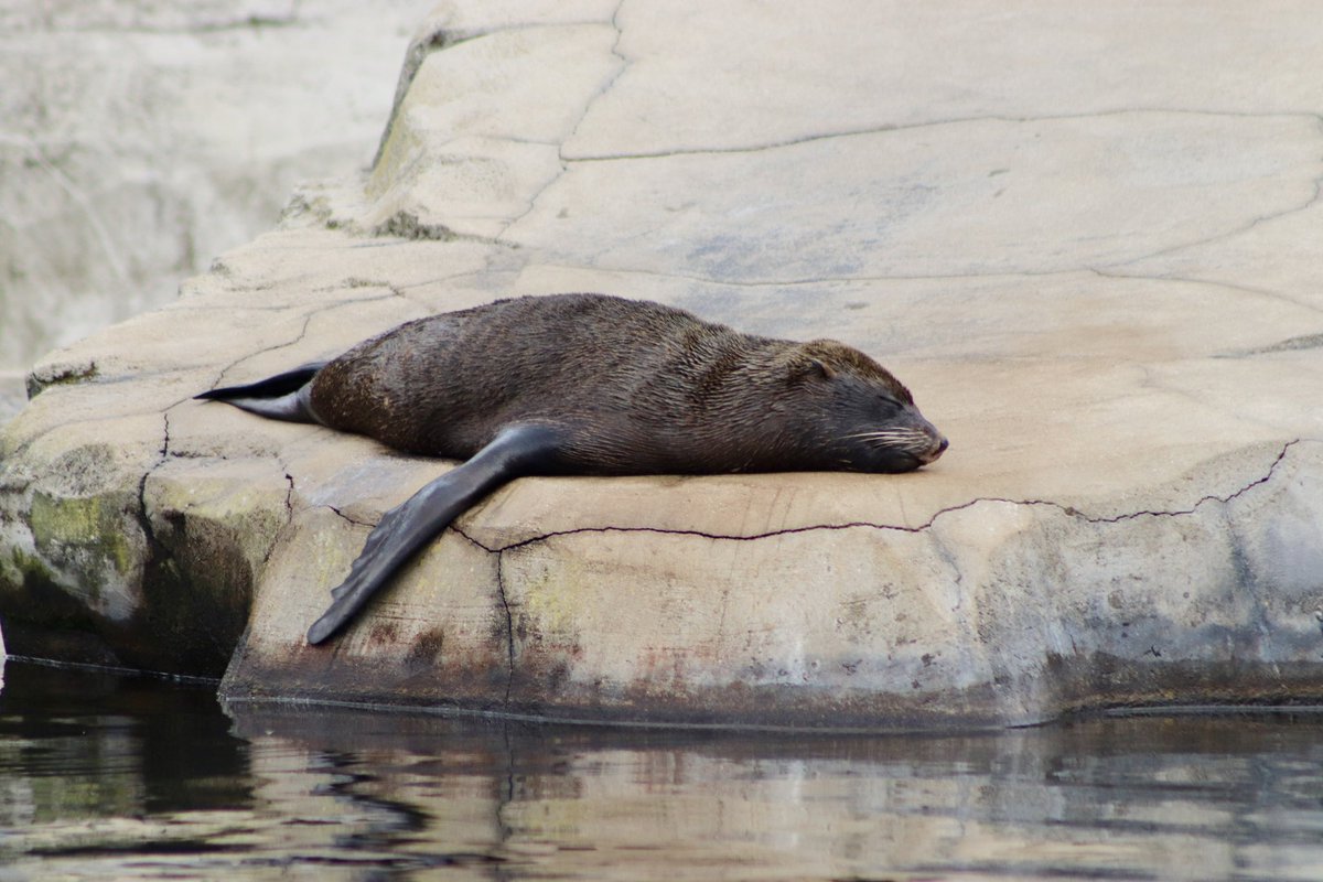 de PEYROLLE tweet media