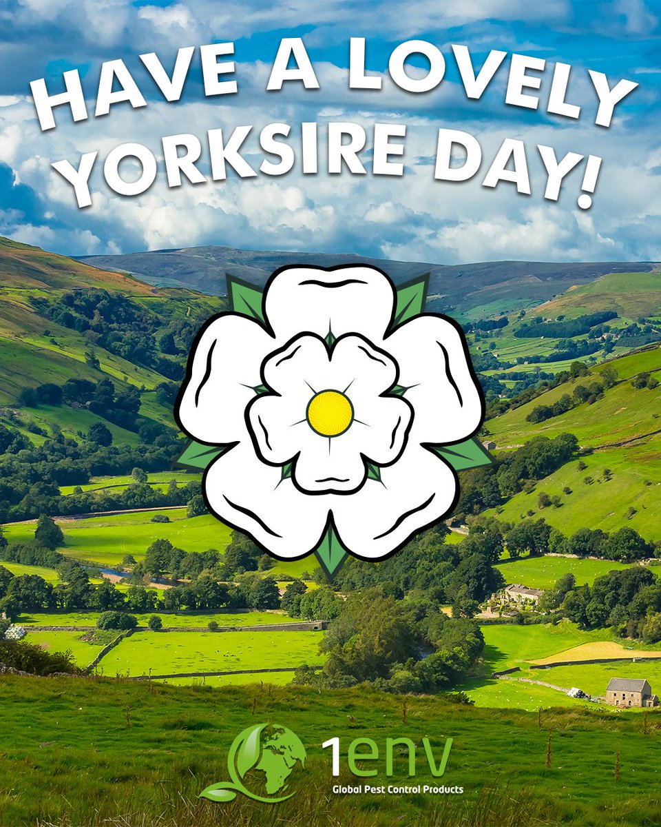 1env Solutions Ltd tweet media