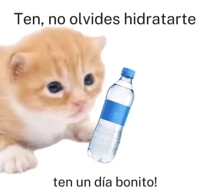 Pepell20's tweet photo. Toma agua, bebe lento, consiente y con propósito. Sí lo haces en ayunas excelente. Tu cuerpo te agradecerá. https://t.co/8QMYDilB3m