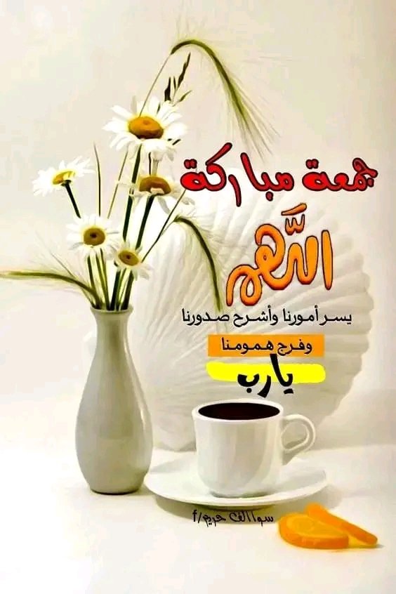 ‌‌‌‌‌‌‌🇦‌🇧‌🇺🇮🇶🇸‌🇦‌‌🇮‌‌‌‌🇫🌹 tweet media