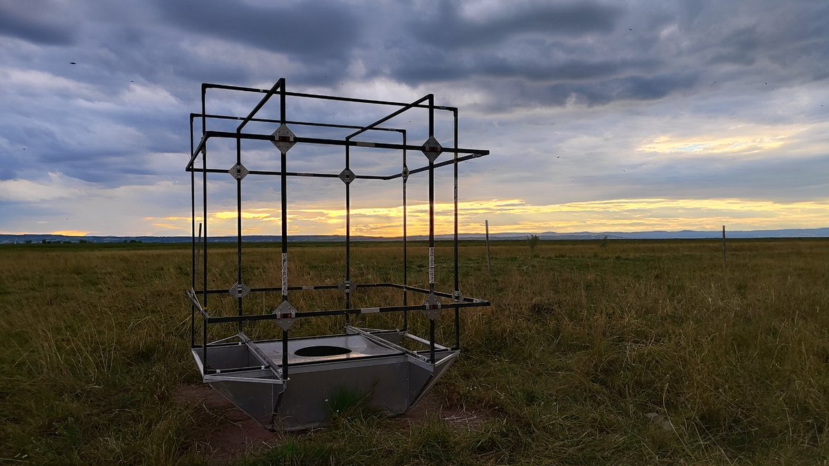 MagBBBGroup's tweet image. Magnetic coils at sunset, with the Alps on the horizon. Field experiments in Lepidoptera navigation meet stunning Austrian landscapes.
#Fieldwork #AnimalNavigation #Magnetoreception #Moth #ScienceInTheWild #Alps