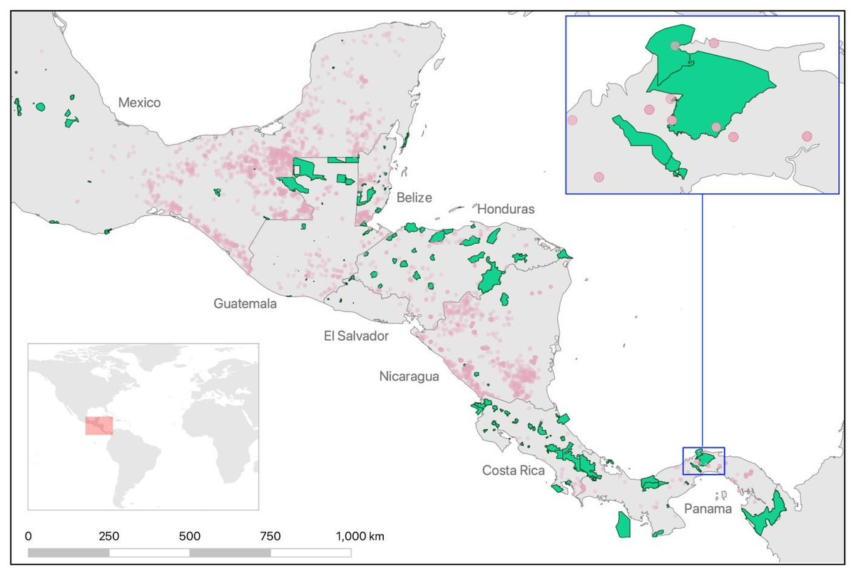 "Illegal cattle trade brings New World Screwworm to wildlife and continues to destroy protected areas in Mesoamerica"
doi.org/10.32942/X2K05S