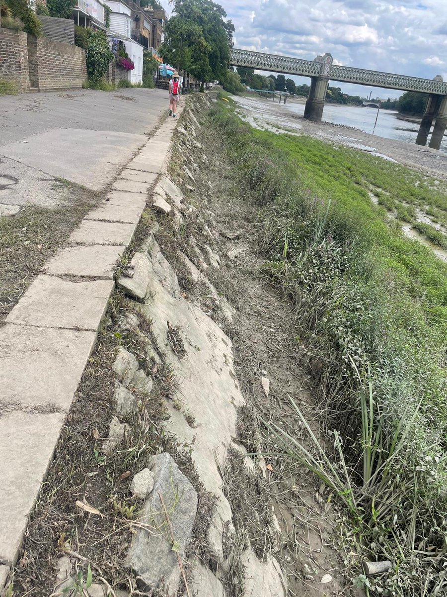 Hounslow Highways (@hounslowhways) on Twitter photo 🚧 Hounslow Highways are clearing vegetation at Strand-on-the-Green (between Kew Bridge and Grove Park Road), Chiswick, to assess wall conditions for future like-for-like repairs. 🌿🧱
#HounslowHighways #MaintenanceUpdate #Chiswick <a href="/LBofHounslow/">Hounslow Council</a> 🚧 Hounslow Highways are clearing vegetation at Strand-on-the-Green (between Kew Bridge and Grove Park Road), Chiswick, to assess wall conditions for future like-for-like repairs. 🌿🧱
#HounslowHighways #MaintenanceUpdate #Chiswick <a href="/LBofHounslow/">Hounslow Council</a>