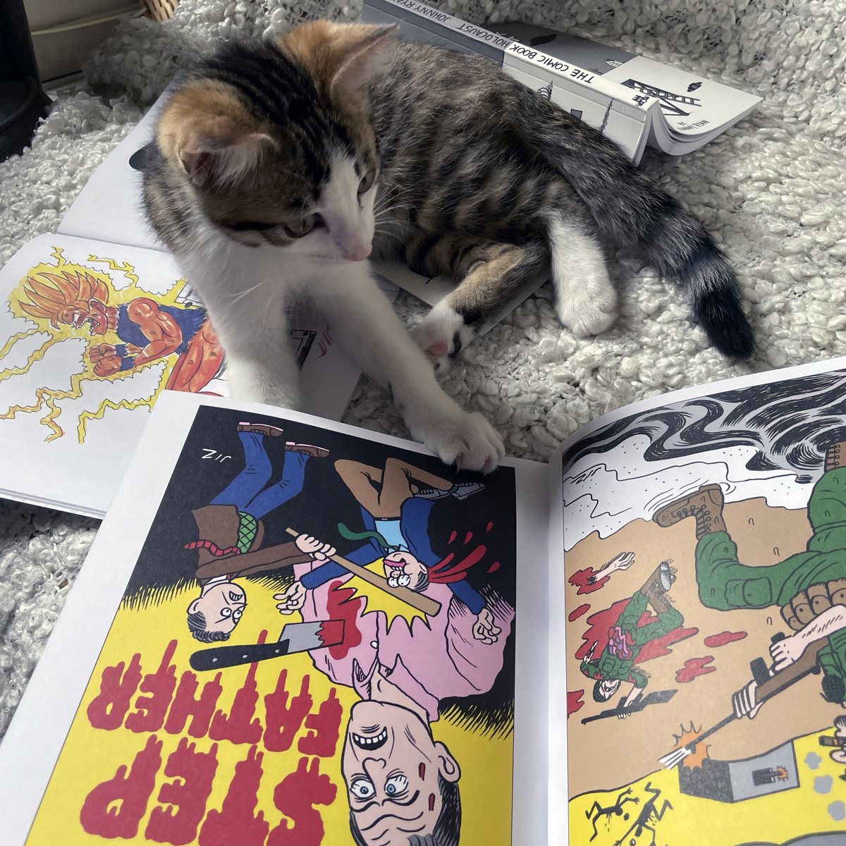 HUBER ÉDITIONS tweet media