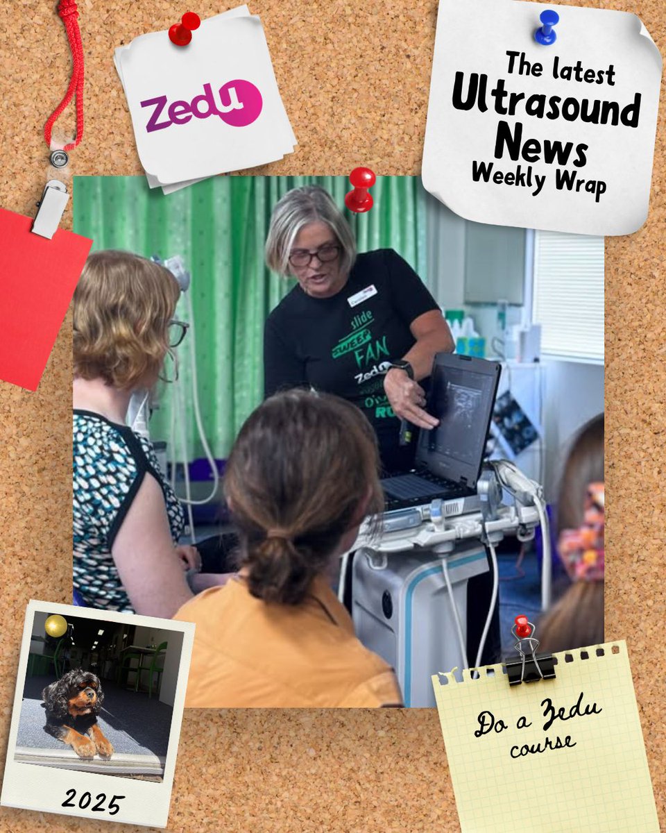 Zedu Ultrasound Training @zedunow@med-mastodon.com (@zedunow) on Twitter photo The #ultrasound news #weeklywrap is here bringing the best free news, views & info you'll find anywhere on the net
📅So too is the calendar for 2026 - check it out & check on in for a #POCUS course
🔥Get 'em while they're hot
ultrasoundtraining.com.au/news/zedu-week… 
#ultrasoundtraining The #ultrasound news #weeklywrap is here bringing the best free news, views & info you'll find anywhere on the net
📅So too is the calendar for 2026 - check it out & check on in for a #POCUS course
🔥Get 'em while they're hot
ultrasoundtraining.com.au/news/zedu-week… 
#ultrasoundtraining