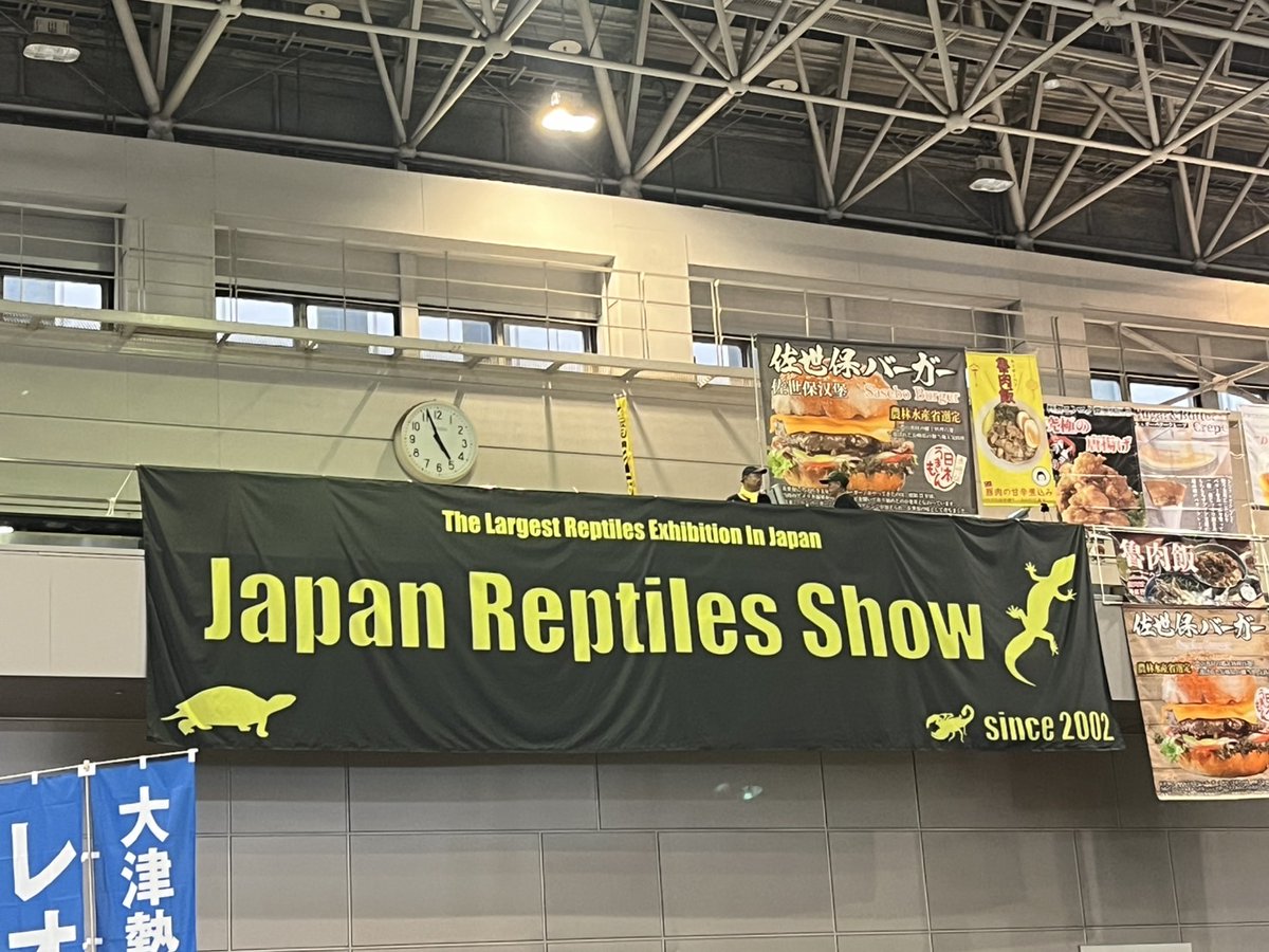明日は待ちに待ったジャパンレプタイルズショー！
準備万端でワイモンブースにてお待ちしております！

#爬虫類
#JRS