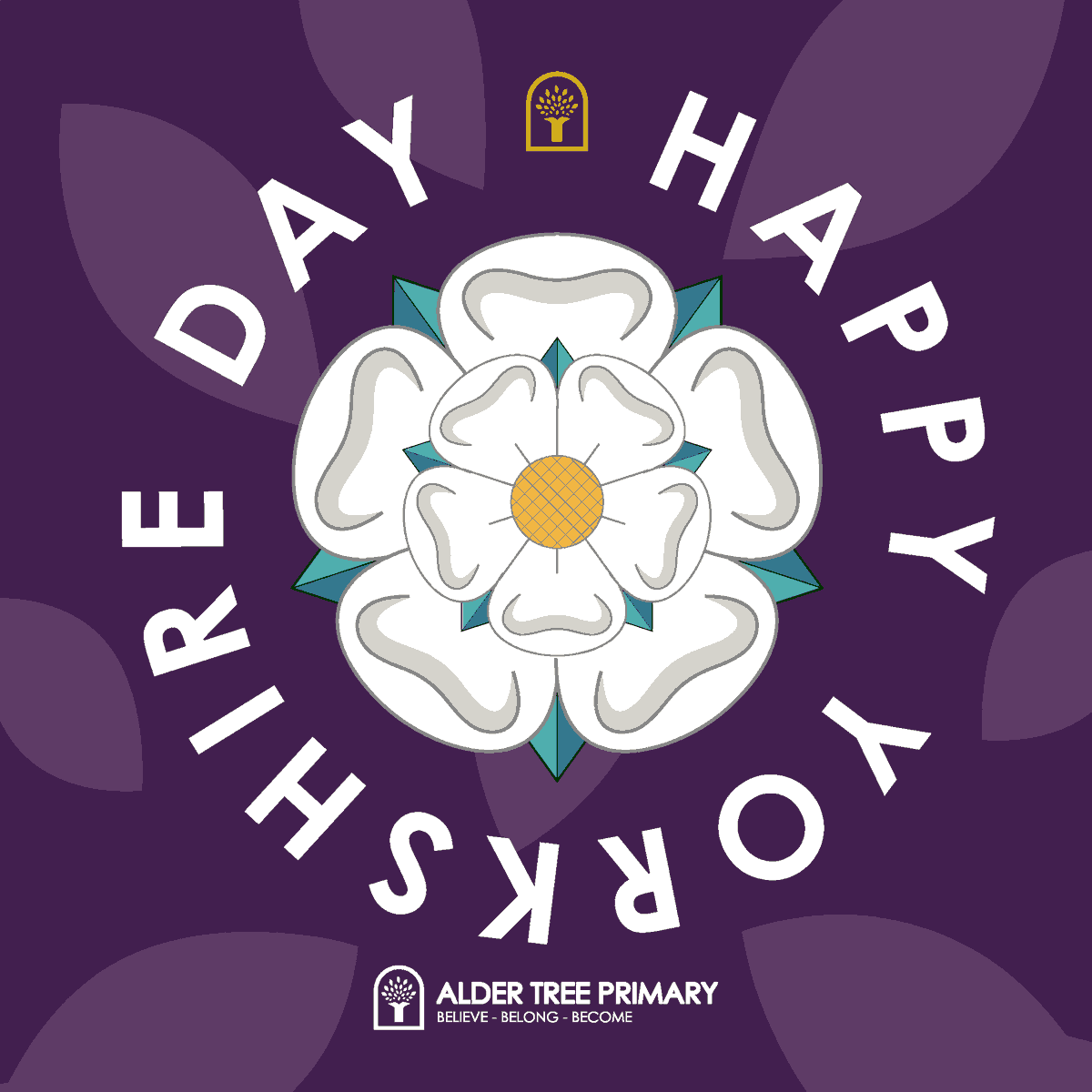 Alder Tree Primary tweet media