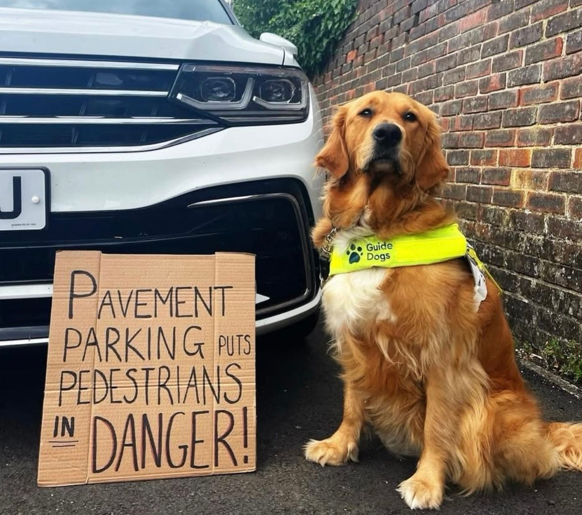 #ItsaFactFriday. Please consider others when you park your car.

 #Chorley #GuideDogsUK #GuideDogs #GuideDogsForTheBlind