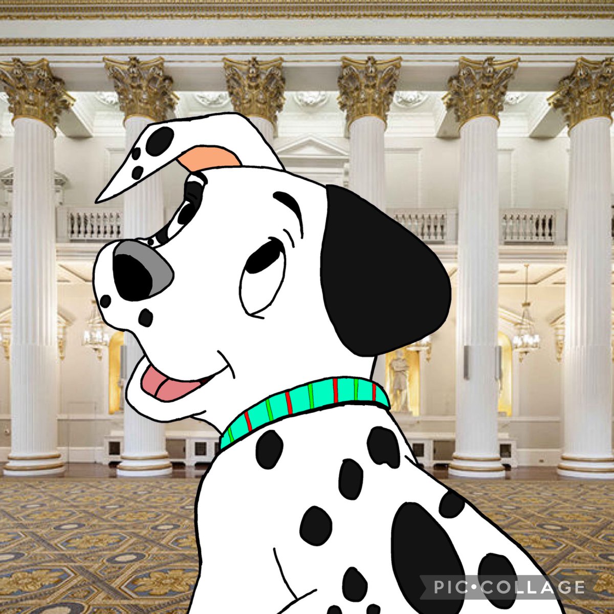 ๐พChuck๐พ (@onepranksterpup) on Twitter photo #NewProfilePic
Credit goes to Pat <a href="/PatDalmatian/">๐ถ แดแดแด แด
แดสแดแดแดษชแดษด ๐ถ</a> for the pic? #NewProfilePic
Credit goes to Pat <a href="/PatDalmatian/">๐ถ แดแดแด แด
แดสแดแดแดษชแดษด ๐ถ</a> for the pic?