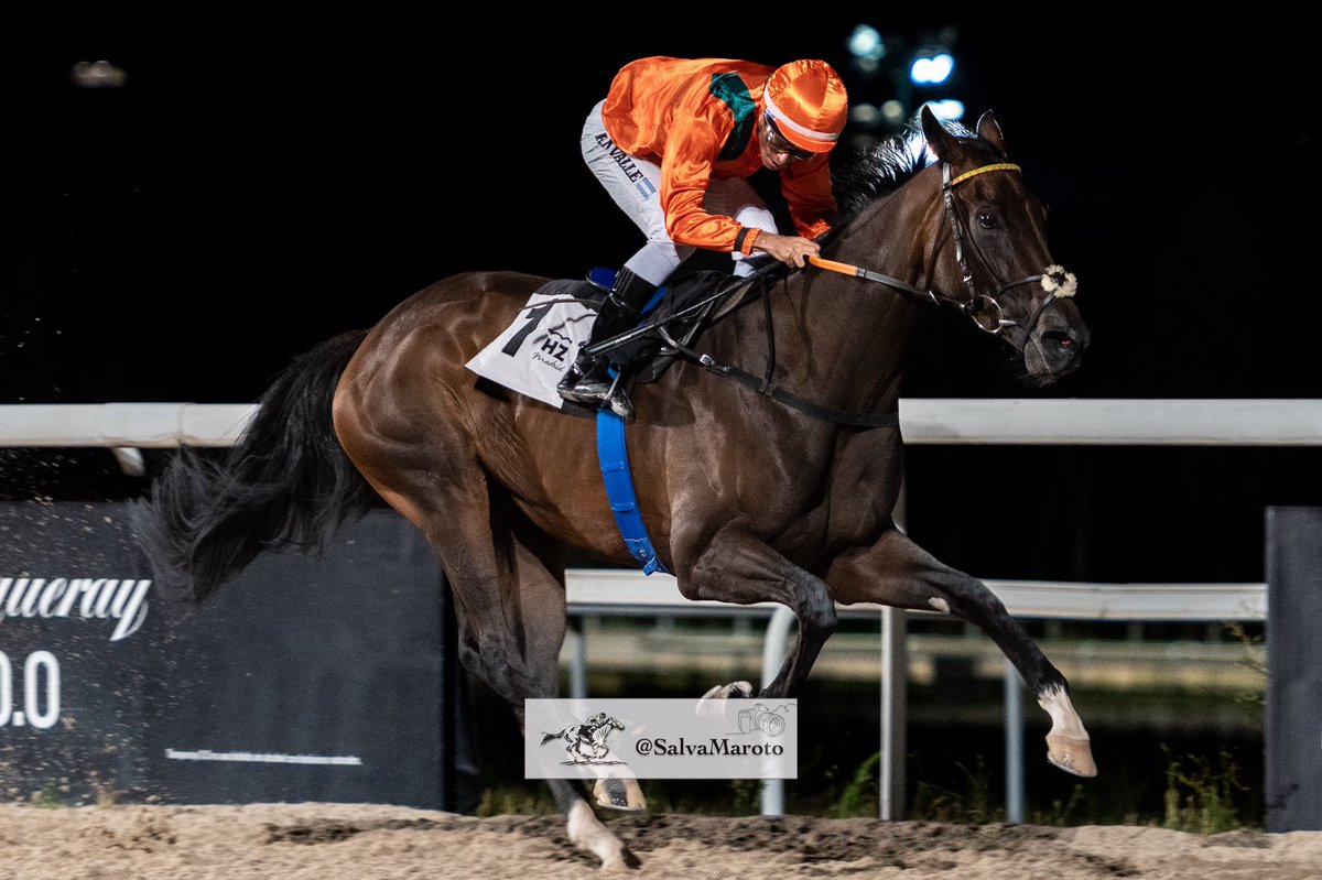 Premio Raca 

🐴 Yiajo ➡️ Shalaa y Loyal Heroine
🏇🏻 <a href="/RNValle2/">R.N.Valle</a> 
. <a href="/ArizkorretaR/">Arizkorreta Racing</a> 
. Peques