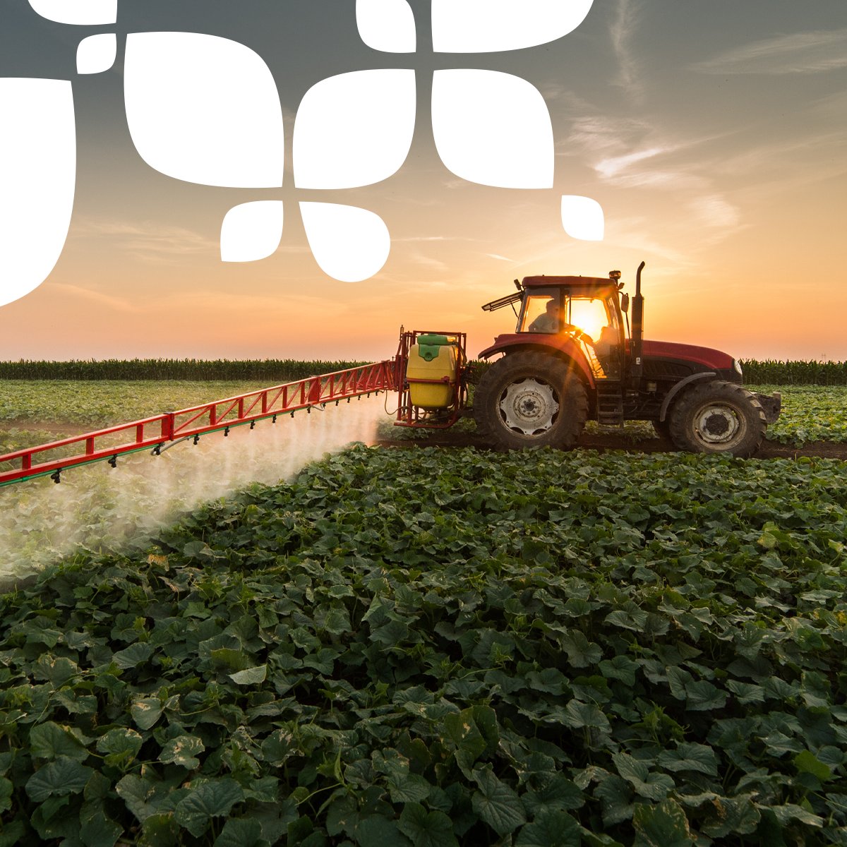 Una correcta sanidad vegetal 🌱🔍 garantiza la competitividad de la agricultura y la seguridad de los alimentos que consumimos cada día.

#SinTiNoSoyNada 💚