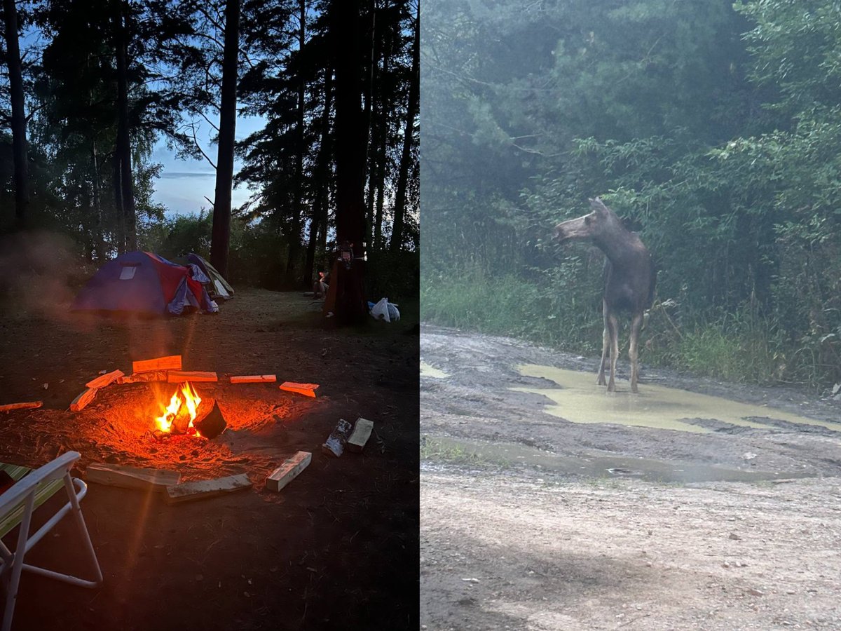 Good morning dear Fam 🤗 

When I lived in the forest for a while, I met some interesting "friends" 😂
And how was your vacation? 😂