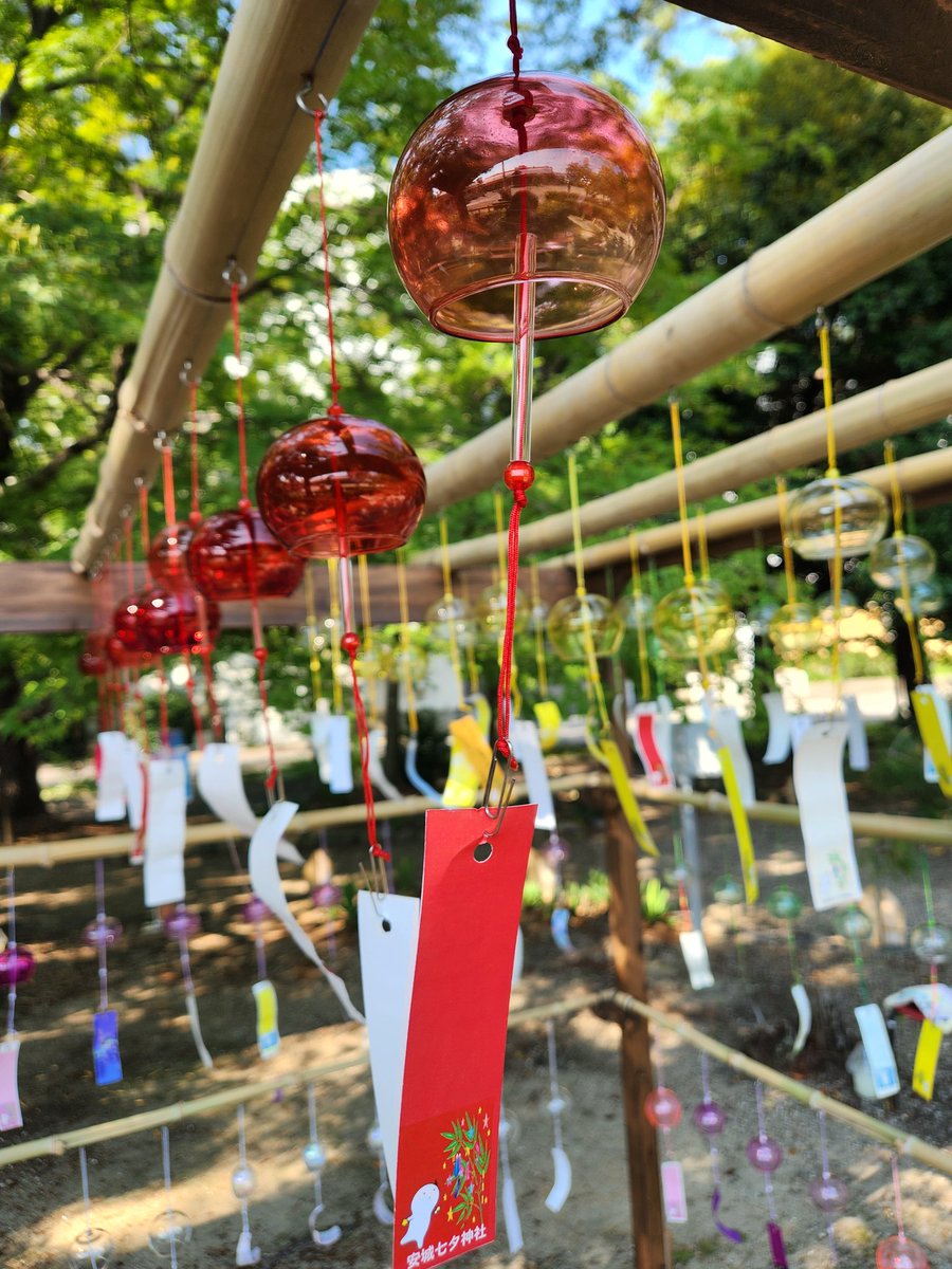 安城七夕神社の願いごと風鈴🎐
神社では、夜は願いごとキャンドルも開催します✨✨✨✨

anjo-tanabata.jp
#安城七夕まつり　#安城七夕　#安城