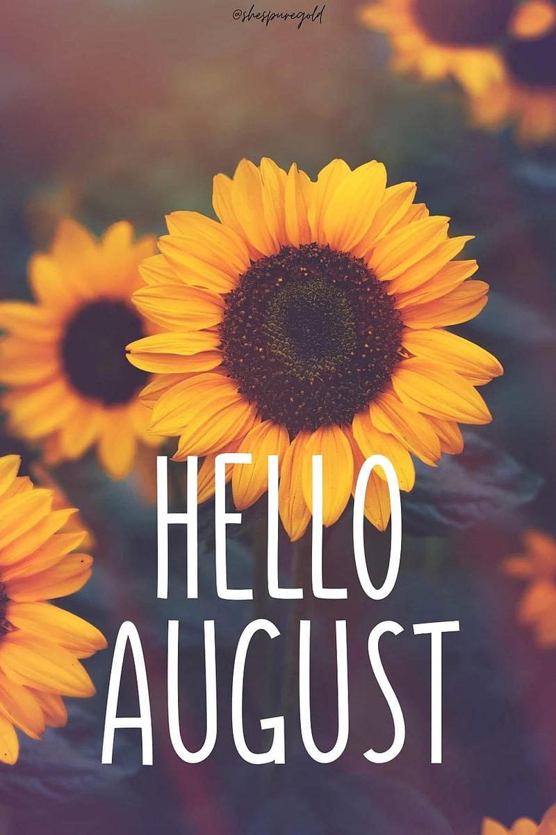 Hello August 🌻
Just like a new day gives new hope, a new month gives new opportunities. It's a chance to learn new skills, explore new interests and challenge yourself to achieve new heights
Want to learn new communication skills? Visit our website and sign up for a course today