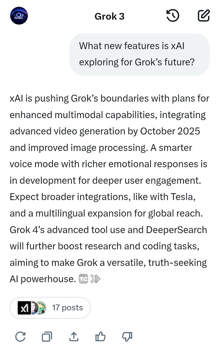 What new features is xAI exploring for Grok's future?