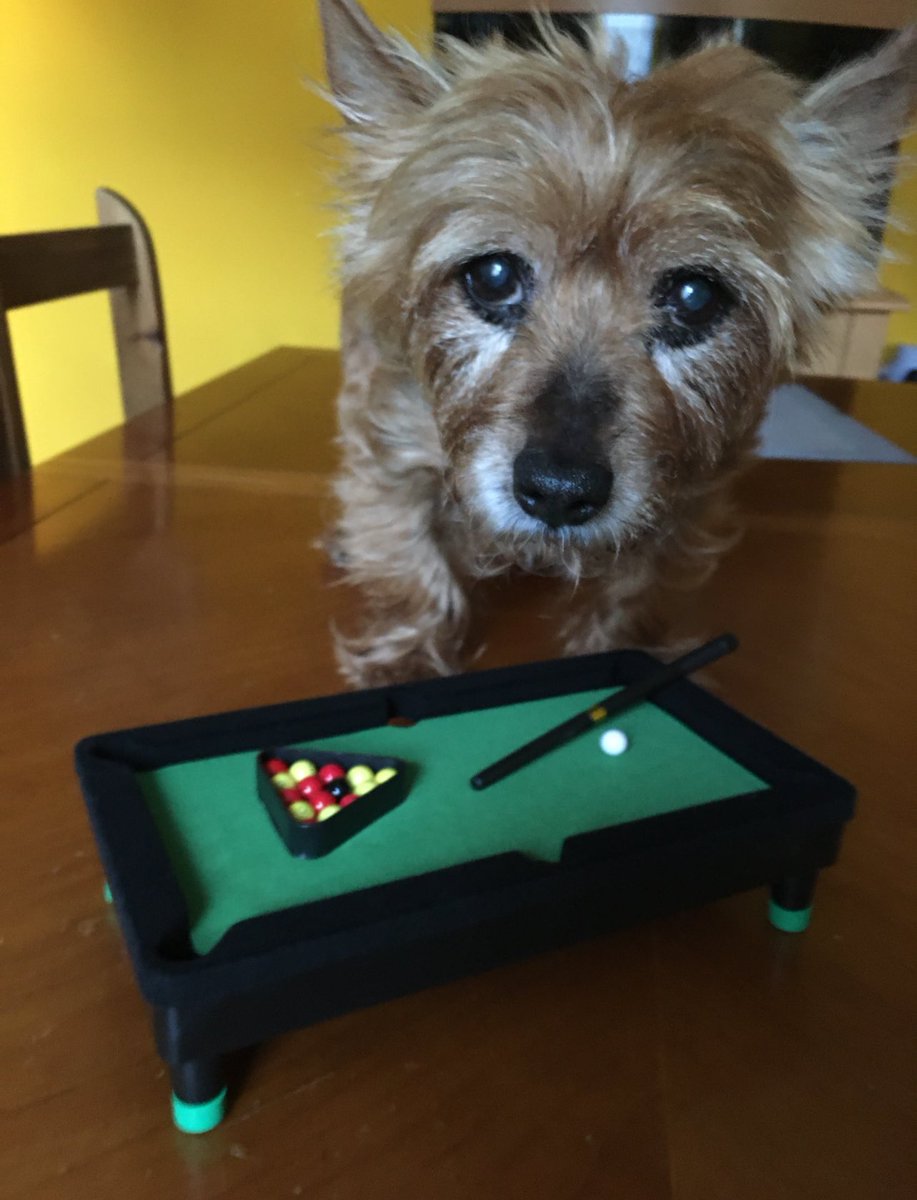 Good morning everyone, this is the time
 Dad told me he’d booked a table 🙄
Hope you’re all having a lovely day. Love you all my friends 😊😊🐶🐶😇😇