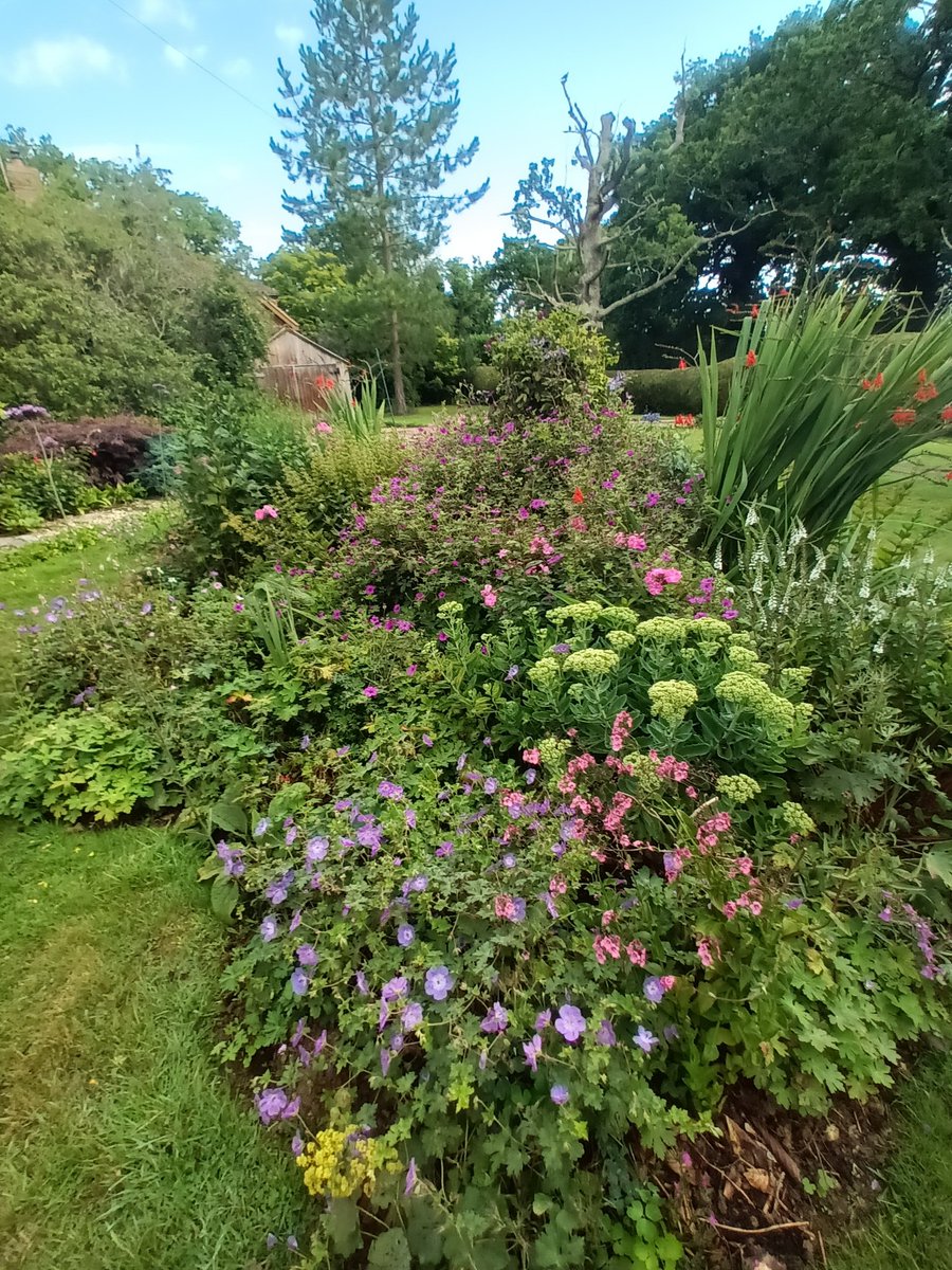 July rainfall here at Shadoxhurst was 89mm.