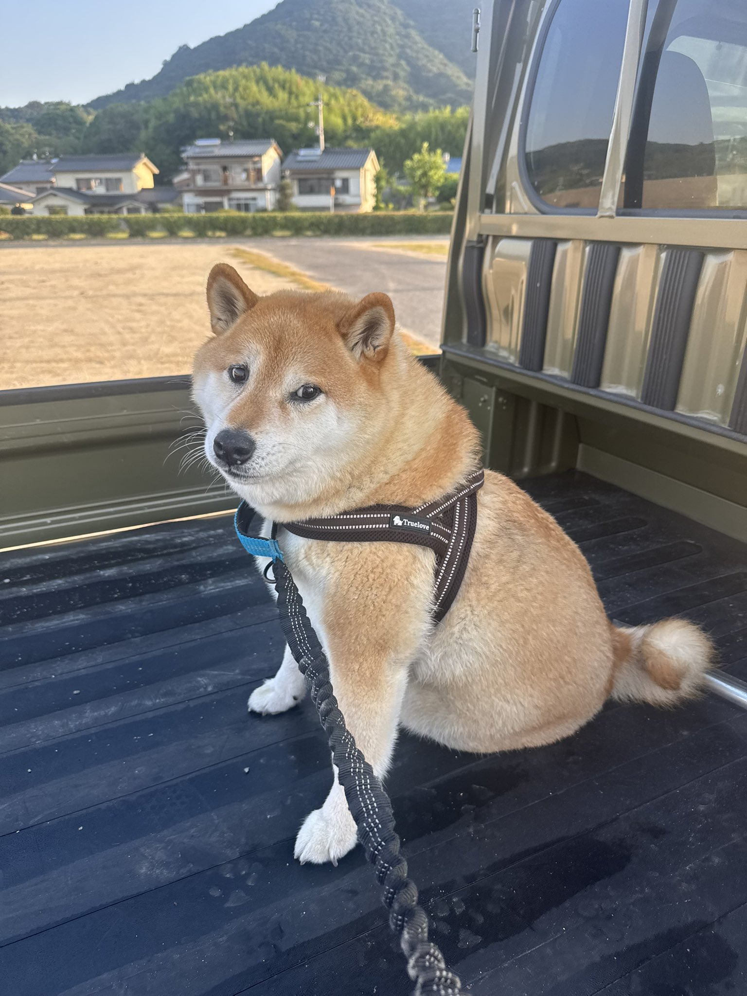 断捨離✩Rika✩プロフィール必読✩ページ 写庵 2日目東ス02ab (@63factory) / X