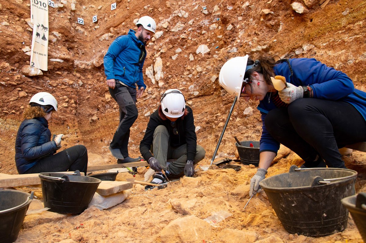 agolpedebit's tweet photo. 🦴🧠Nuevas evidencias de #canibalismo en el Homo antecessor, tras el hallazgo de una vértebra infantil con marcas de decapitación en Atapuerca.

Más detalles con @PalmiraSaladie, investigadora del @iphes #Atapuerca #Ciencia #Paleoantropología 

🕦11:30h➡️https://t.co/aAvN2uQku8 https://t.co/2pJMqyKOeT